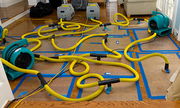 Professional Water Extraction technician working in Carterville, MO